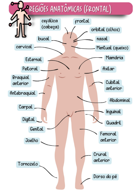 Captura de tela 2025-10-02 232430