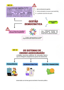 Design sem nome (26)